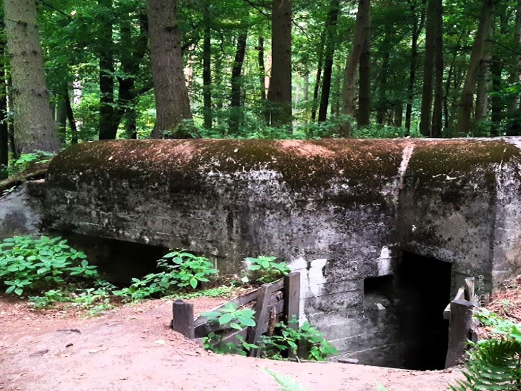 Bunkry militarne na Pojezierzu Brodnickim